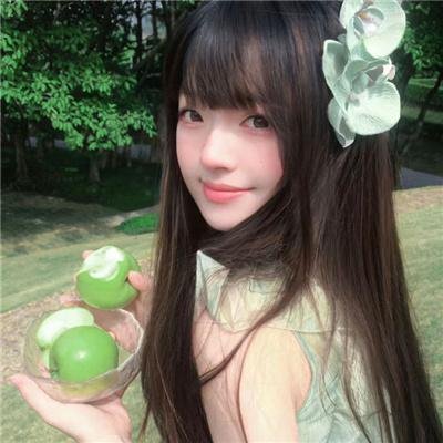 妙探机灵狗